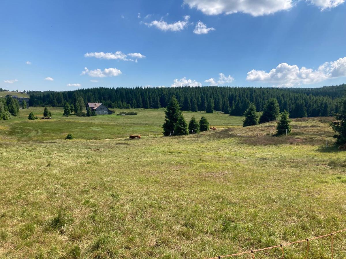 Apartmany V Lese Bedřichov المظهر الخارجي الصورة
