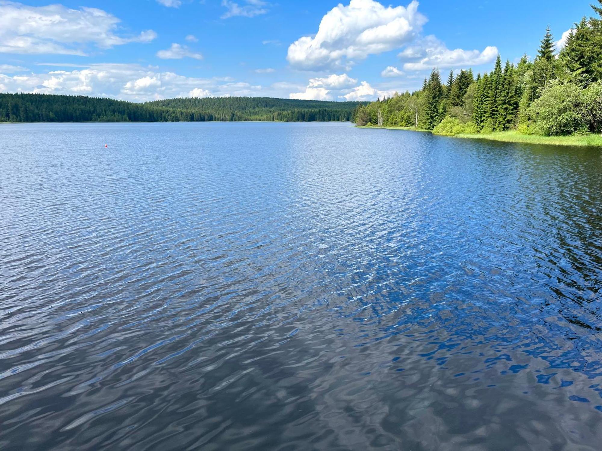 Apartmany V Lese Bedřichov المظهر الخارجي الصورة